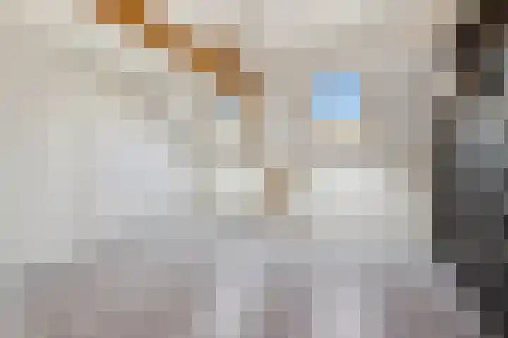 Hooistraat 4 Druten thumbnail 16