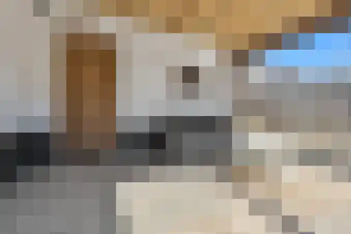 Hooistraat 4 Druten thumbnail 20