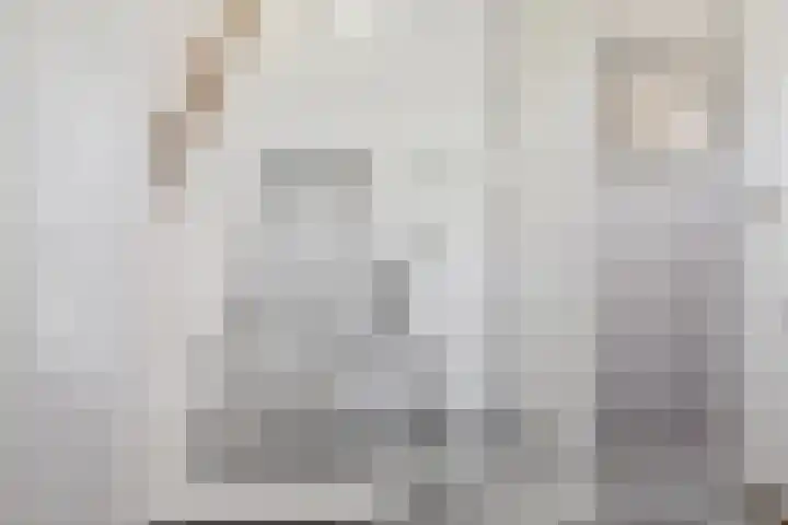 Hooistraat 4 Druten thumbnail 22