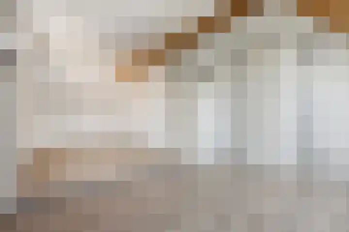 Hooistraat 4 Druten thumbnail 28