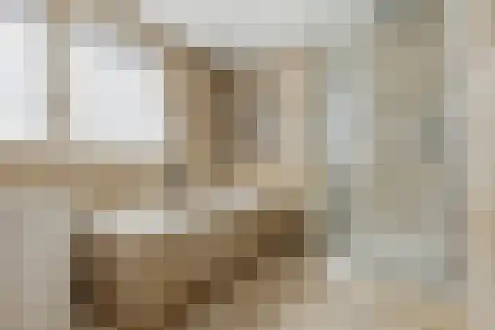 Hooistraat 4 Druten thumbnail 29