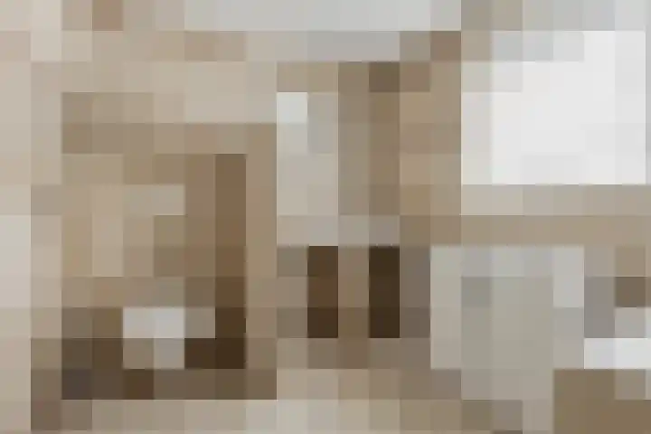 Hooistraat 4 Druten thumbnail 30