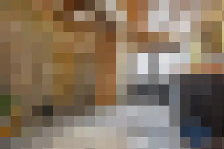 Hooistraat 4 Druten thumbnail 32