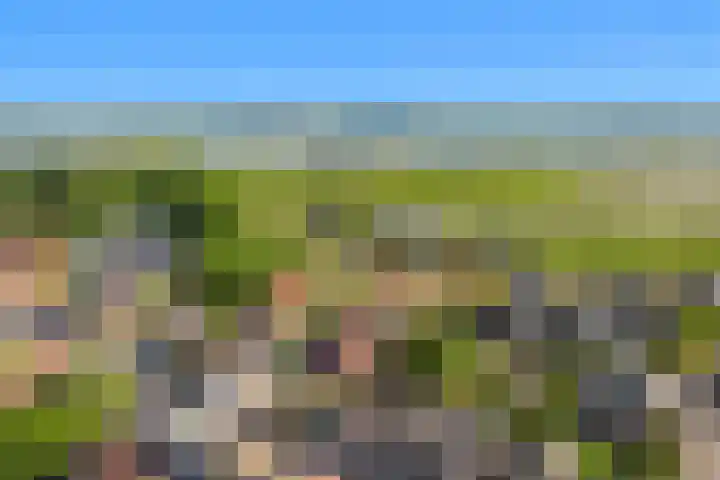 Hooistraat 4 Druten thumbnail 33