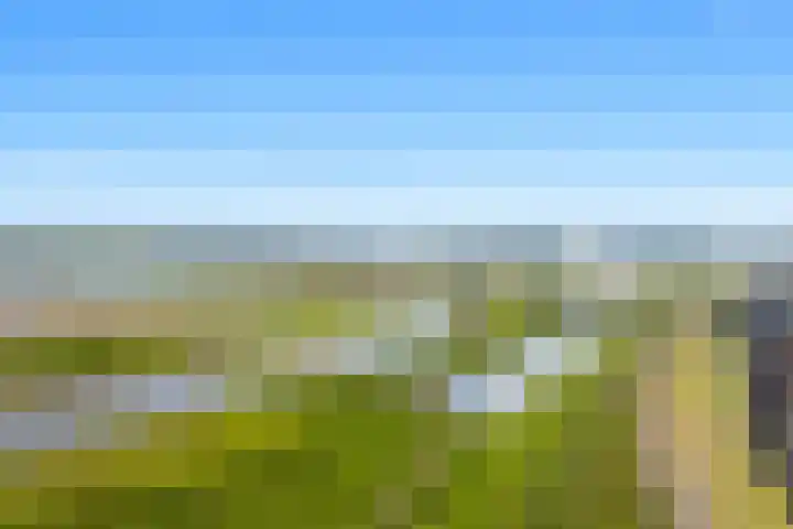 Hooistraat 4 Druten thumbnail 34