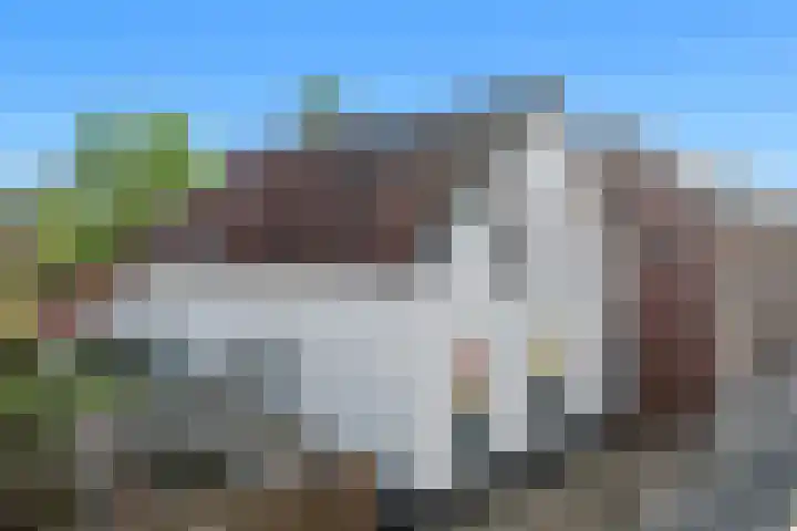 Hooistraat 4 Druten thumbnail 38