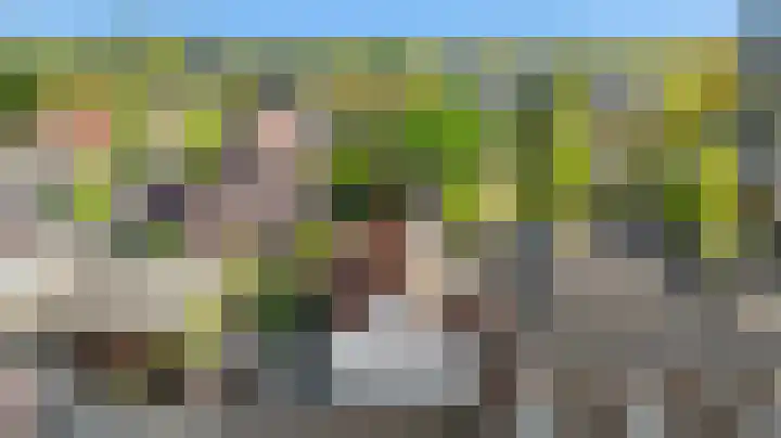 Hooistraat 4 Druten thumbnail 40
