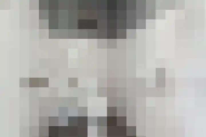 Hooistraat 4 Druten thumbnail 5