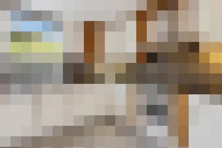 Hooistraat 4 Druten thumbnail 8