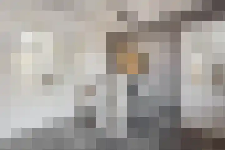 Hooistraat 4 Druten thumbnail 9