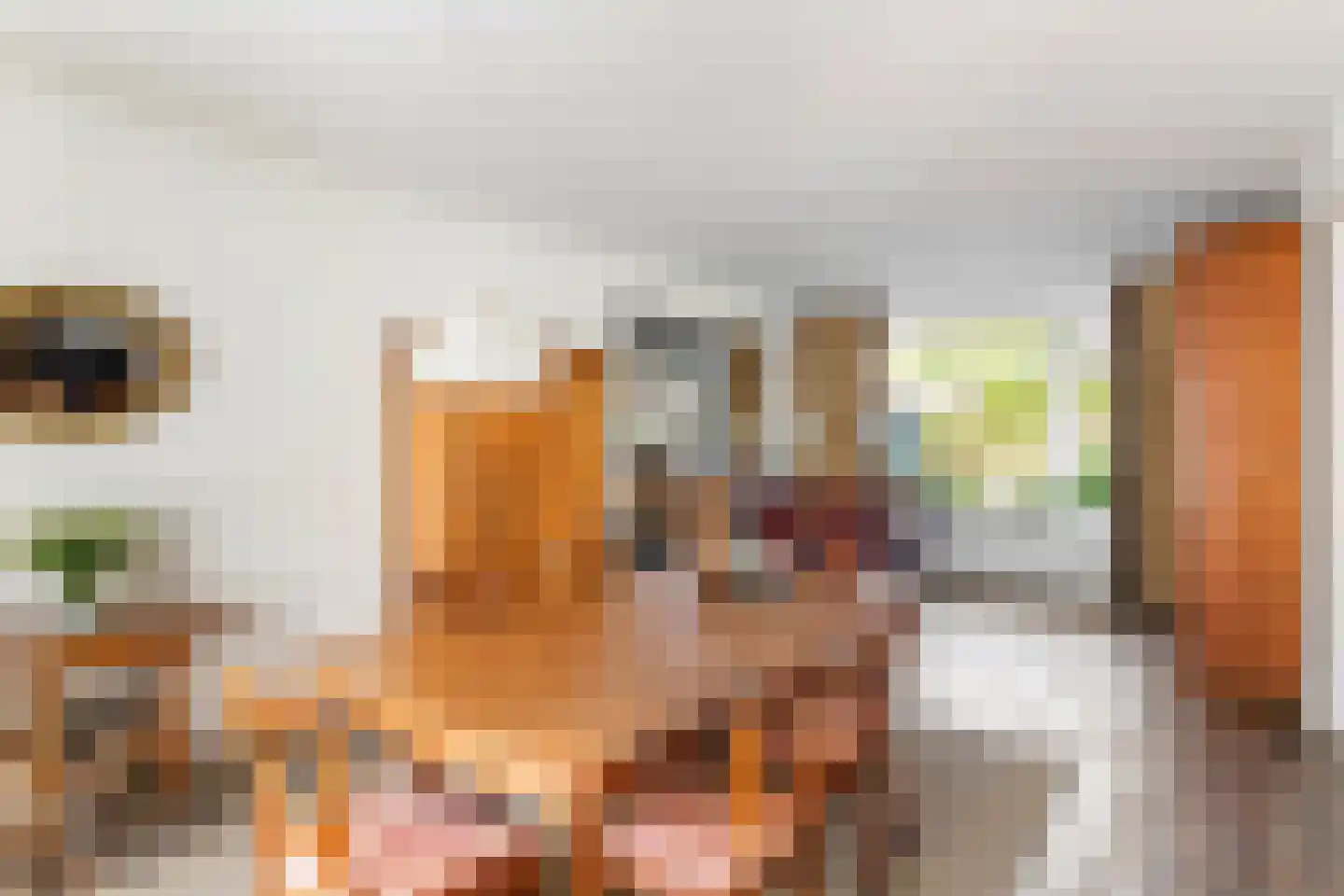 Hooistraat 44 B Druten thumbnail 10