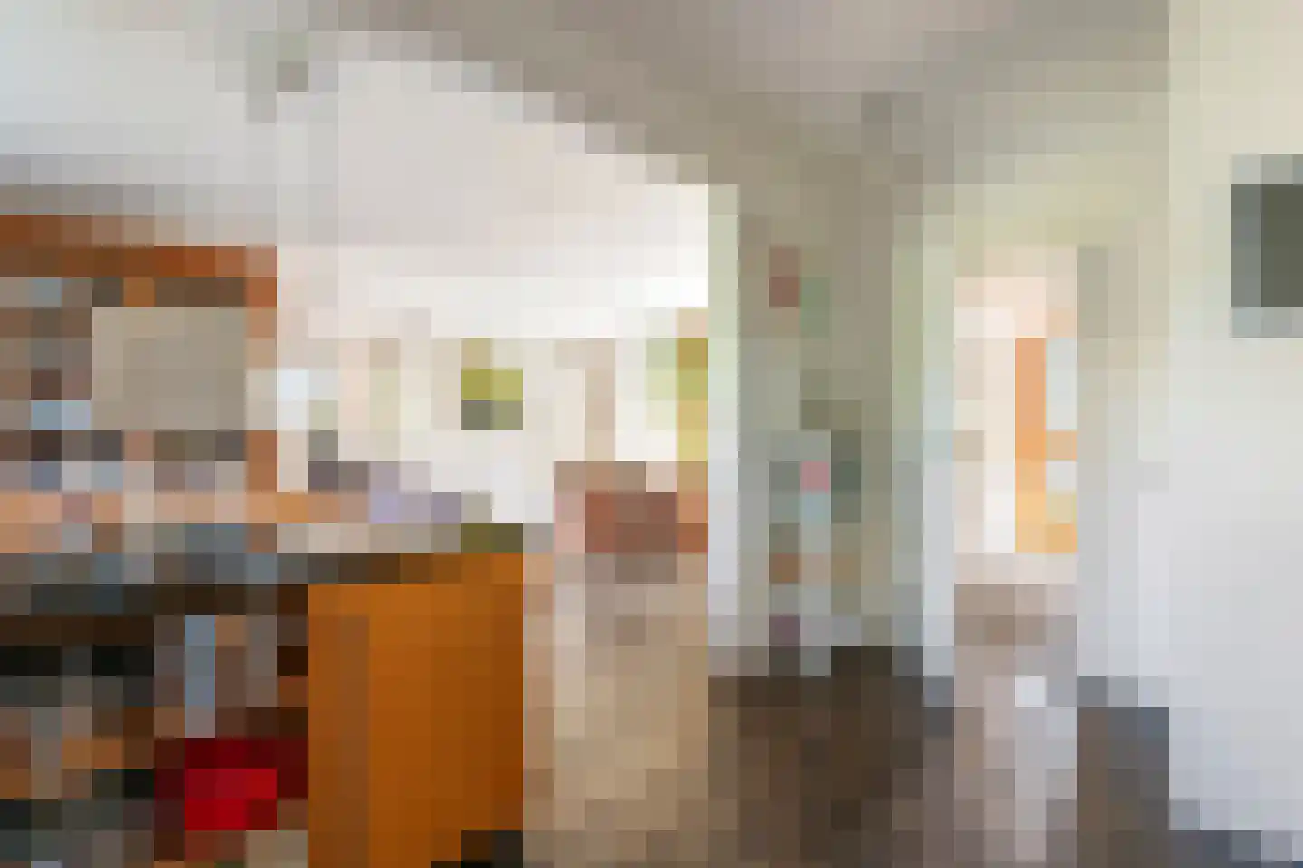 Hooistraat 44 B Druten thumbnail 12