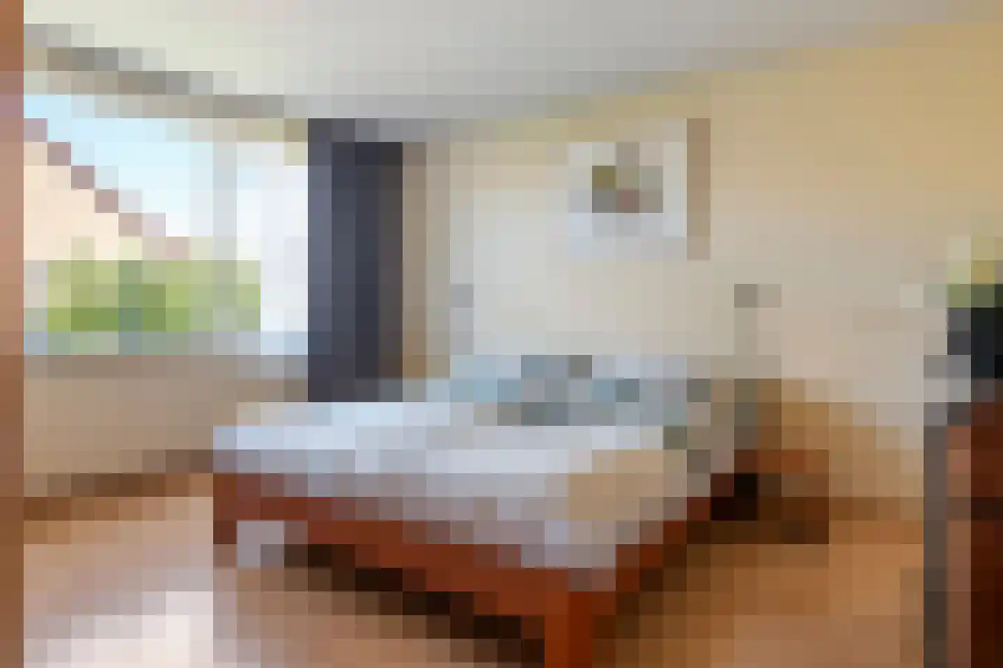 Hooistraat 44 B Druten thumbnail 15