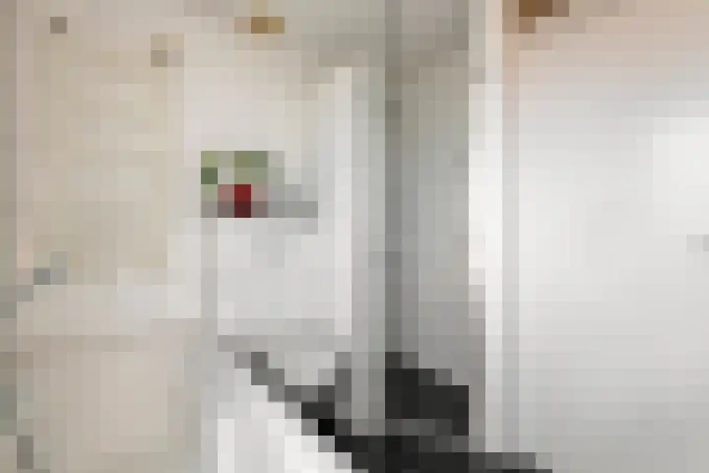 Hooistraat 44 B Druten thumbnail 21