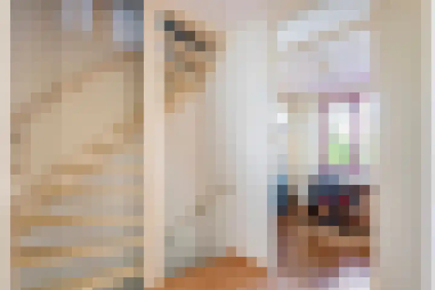 Hooistraat 44 B Druten thumbnail 23