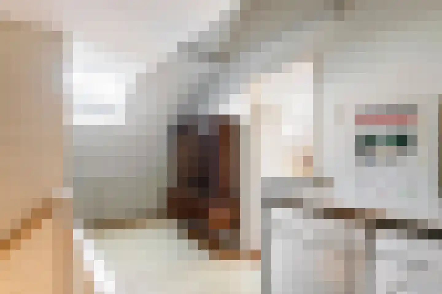 Hooistraat 44 B Druten thumbnail 24