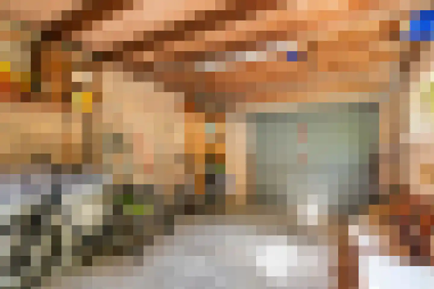 Hooistraat 44 B Druten thumbnail 27
