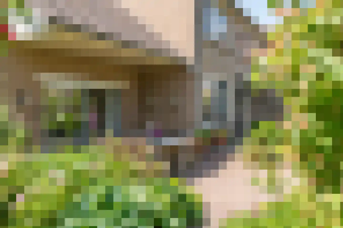 Hooistraat 44 B Druten thumbnail 28