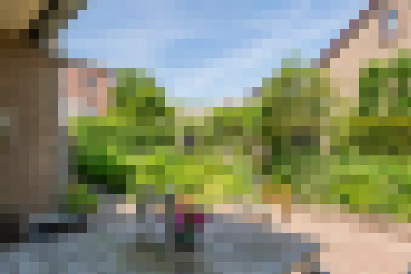 Hooistraat 44 B Druten thumbnail 29
