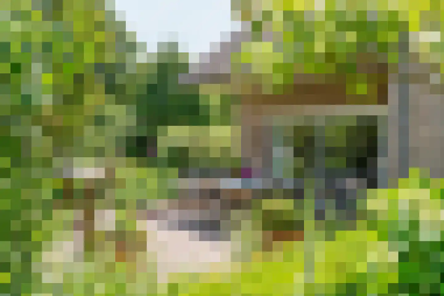 Hooistraat 44 B Druten thumbnail 30