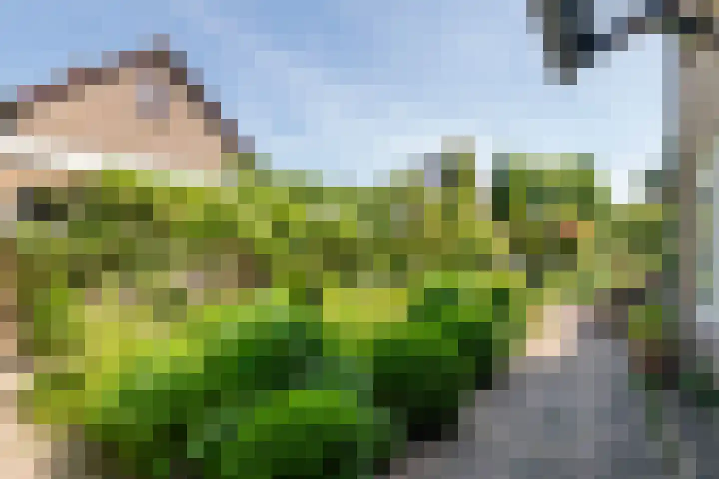 Hooistraat 44 B Druten thumbnail 31