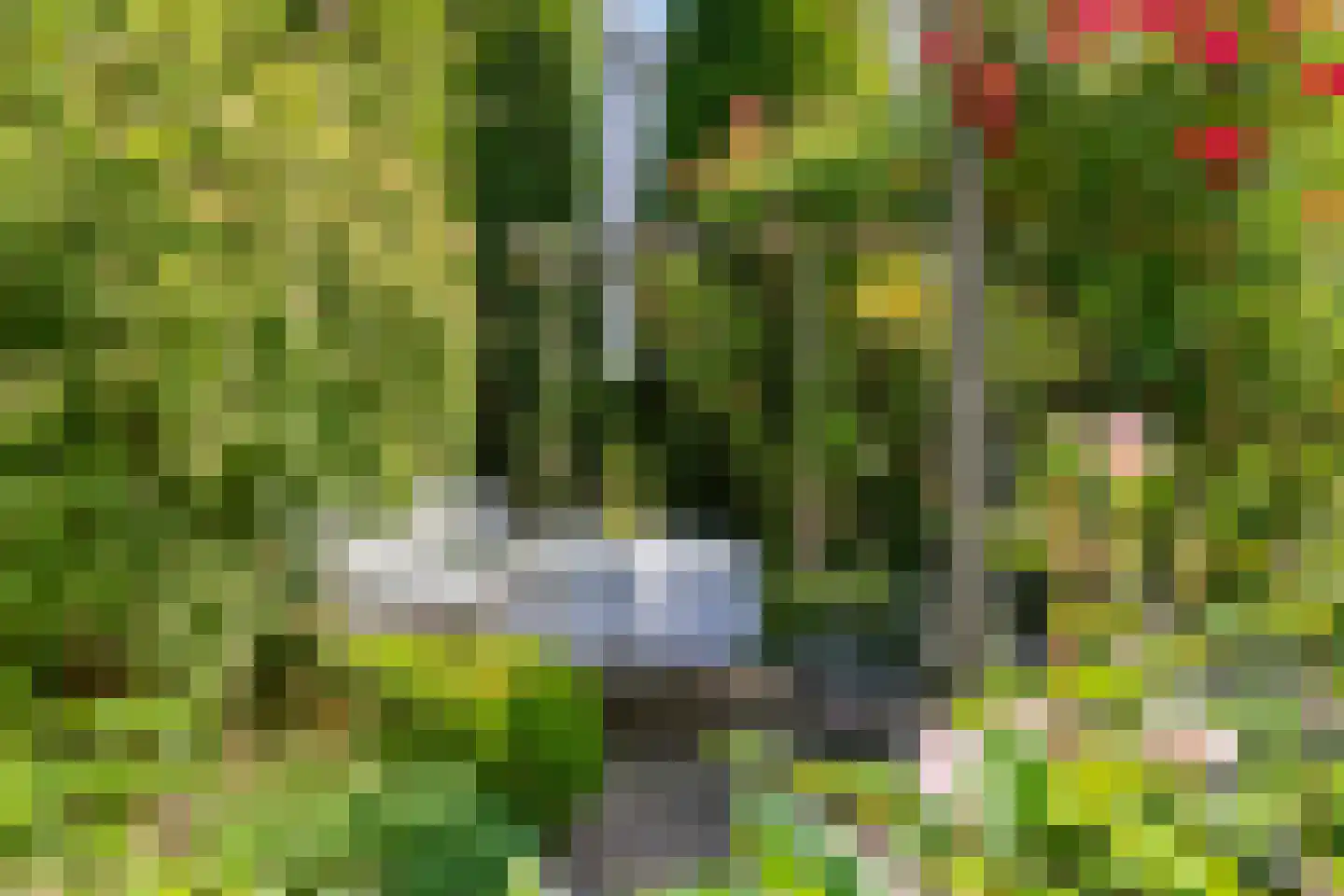 Hooistraat 44 B Druten thumbnail 35