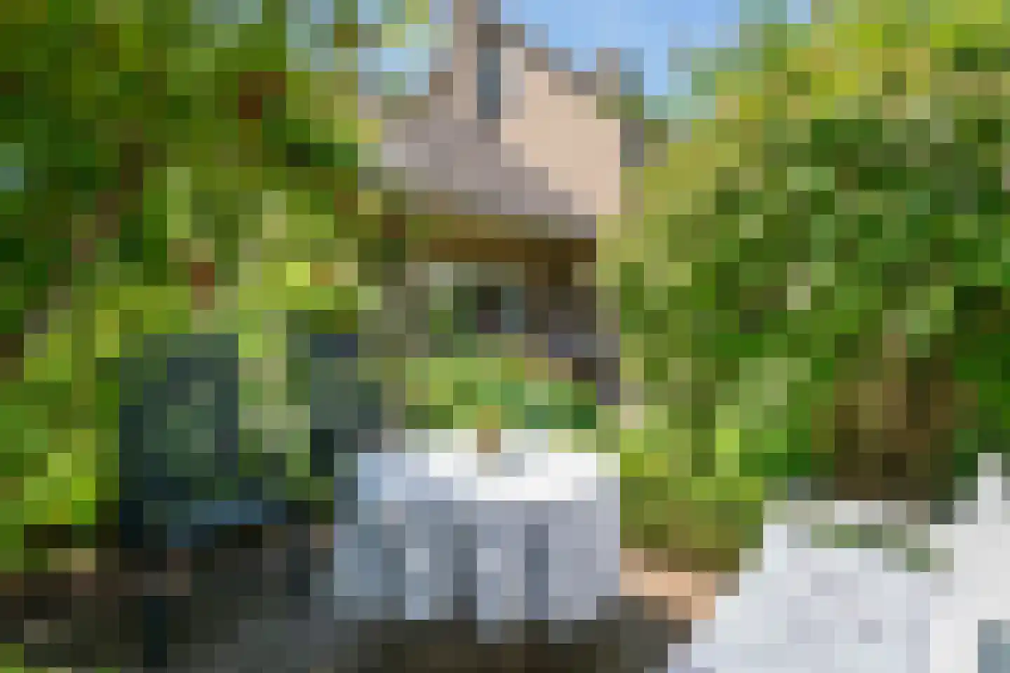 Hooistraat 44 B Druten thumbnail 36