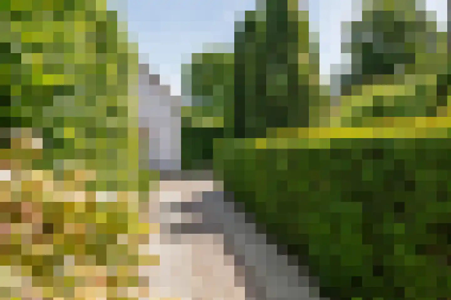 Hooistraat 44 B Druten thumbnail 37
