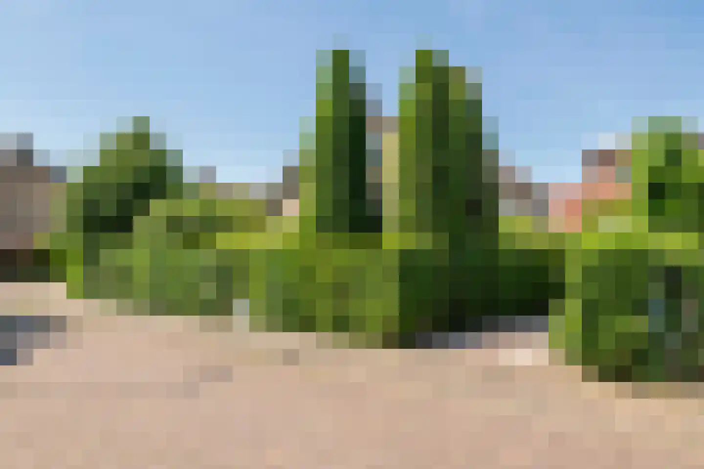 Hooistraat 44 B Druten thumbnail 39