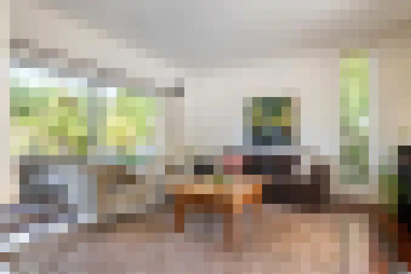Hooistraat 44 B Druten thumbnail 5