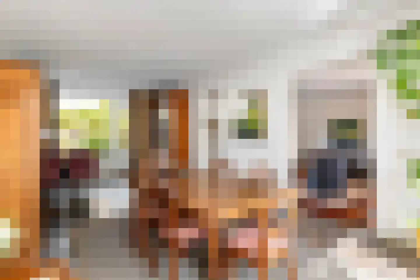 Hooistraat 44 B Druten thumbnail 9