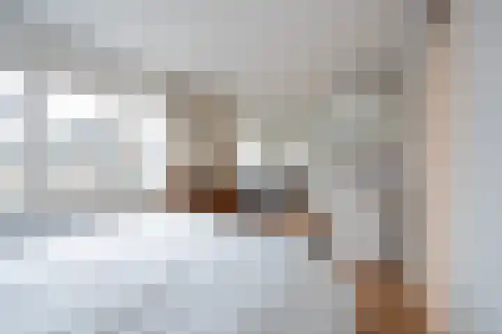 Hooiven 15 Zaandam thumbnail 17