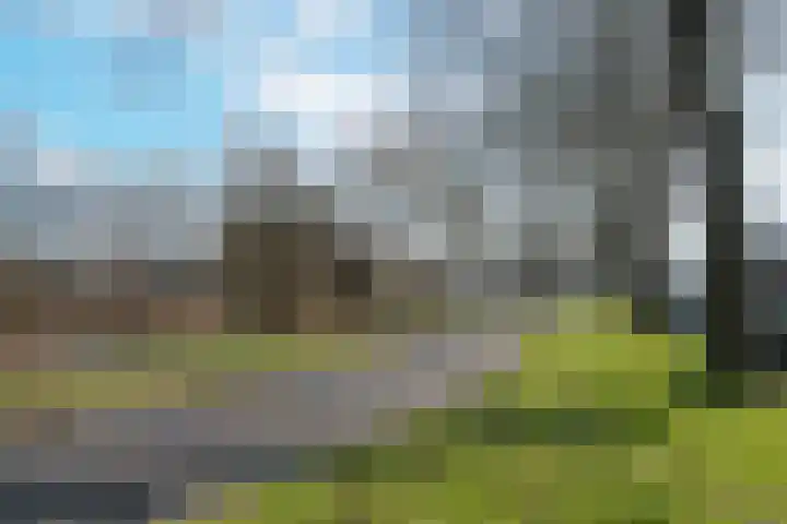 Hooiven 15 Zaandam thumbnail 40