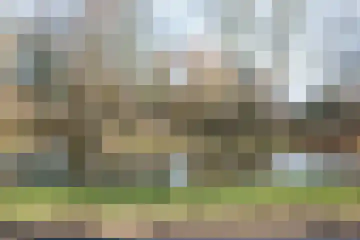 Hooiven 15 Zaandam thumbnail 41