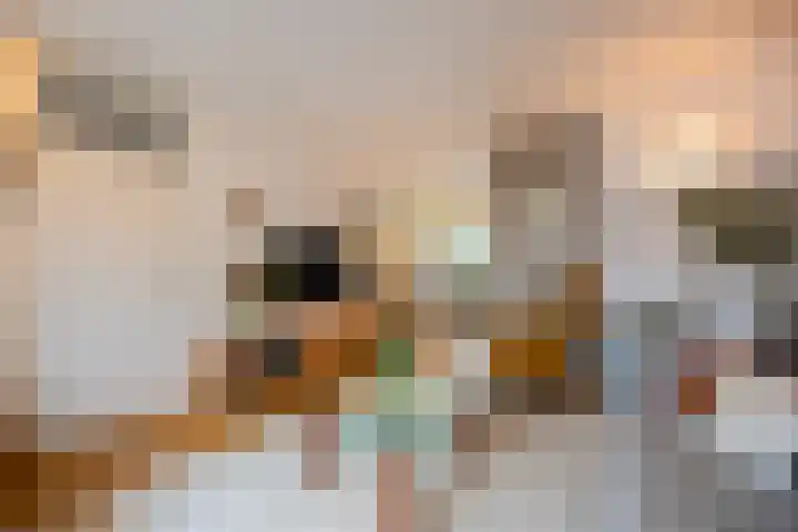 Hooiven 15 Zaandam thumbnail 5