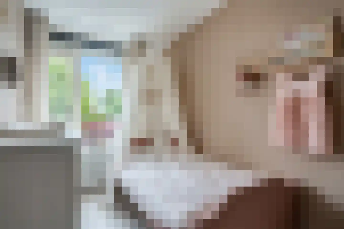 Hooiven 3 Delfzijl thumbnail 6