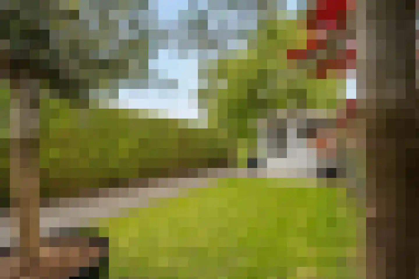 Hooiven 3 Delfzijl thumbnail 8