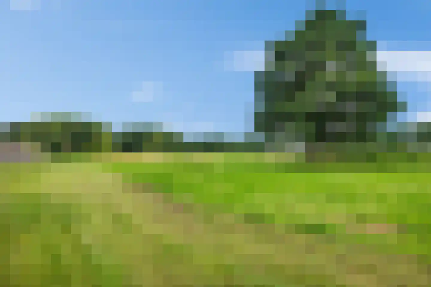 Hooiven 36 Delfzijl thumbnail 15