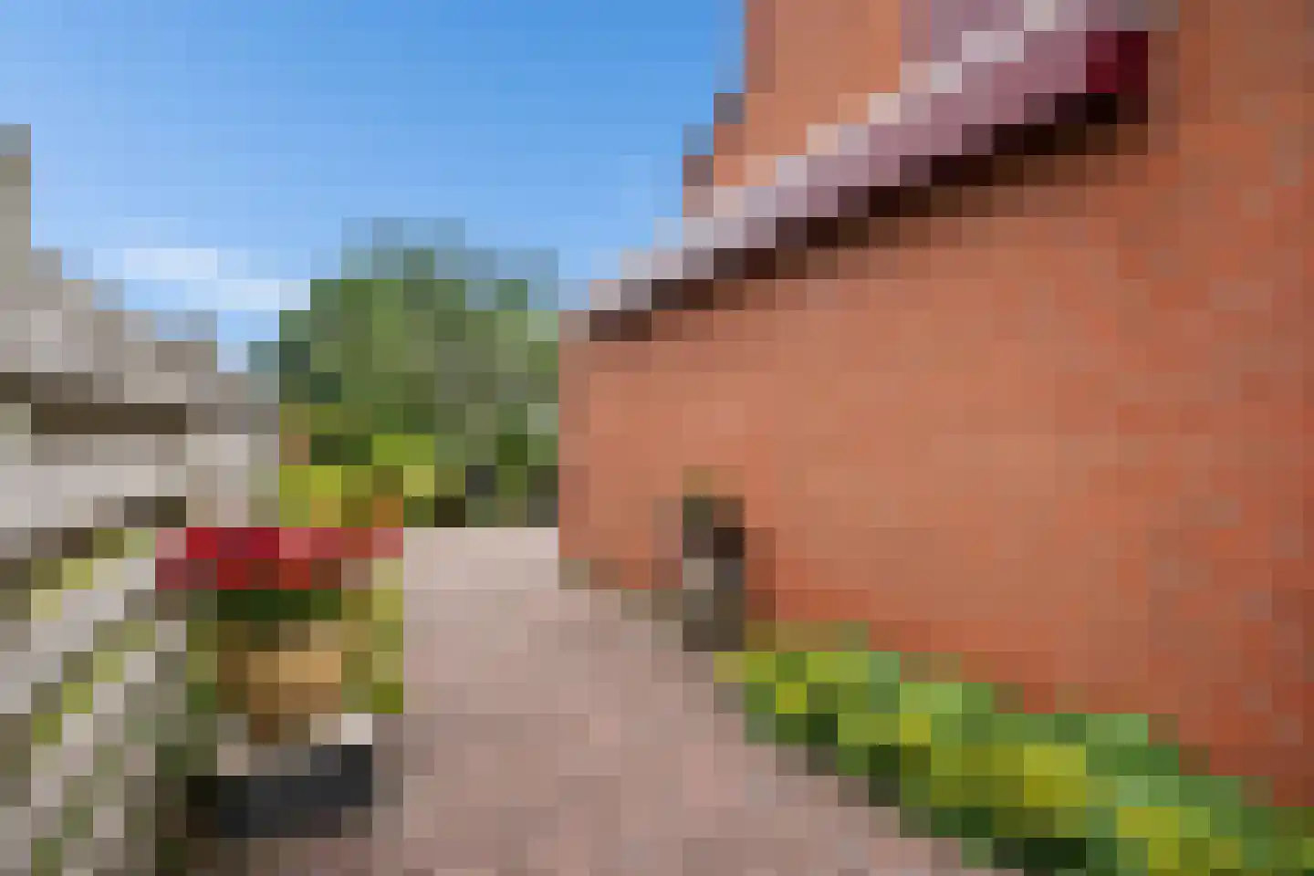 Hooiven 36 Delfzijl thumbnail 24
