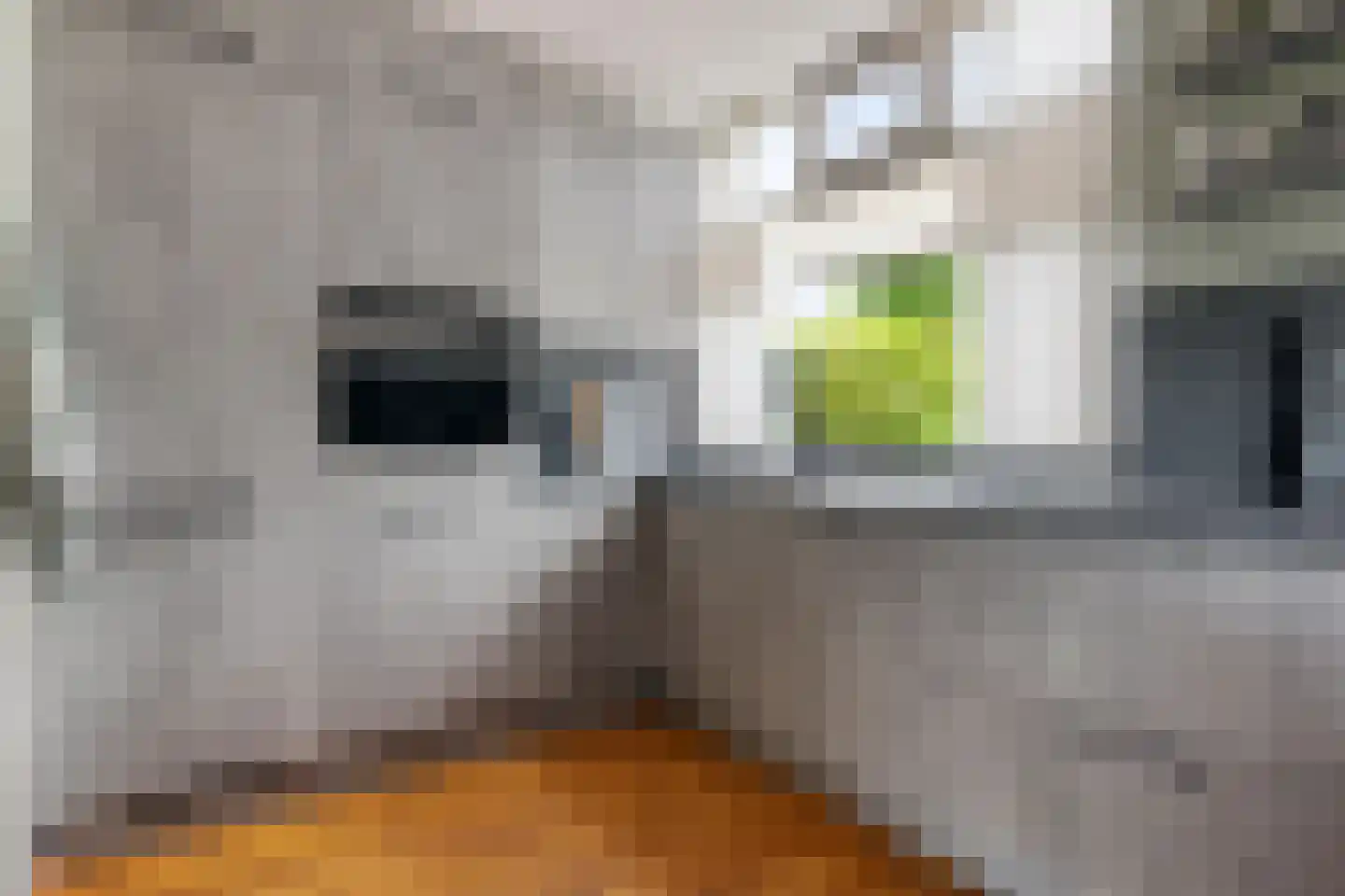 Hooiven 36 Delfzijl thumbnail 38