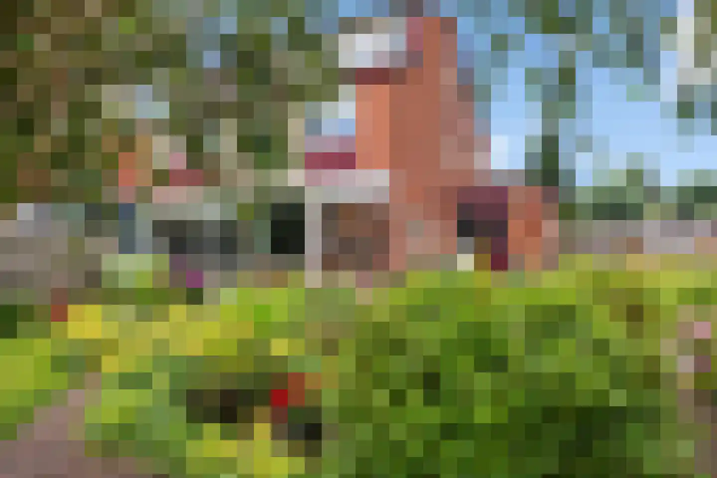 Hooiven 36 Delfzijl thumbnail 8