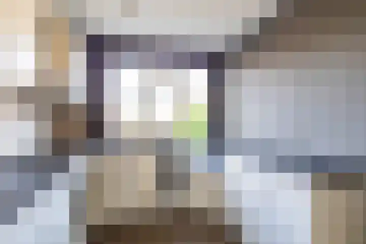 Hooiven 49 Delfzijl thumbnail 11