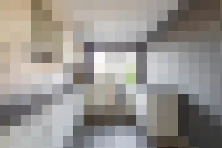 Hooiven 49 Delfzijl thumbnail 12