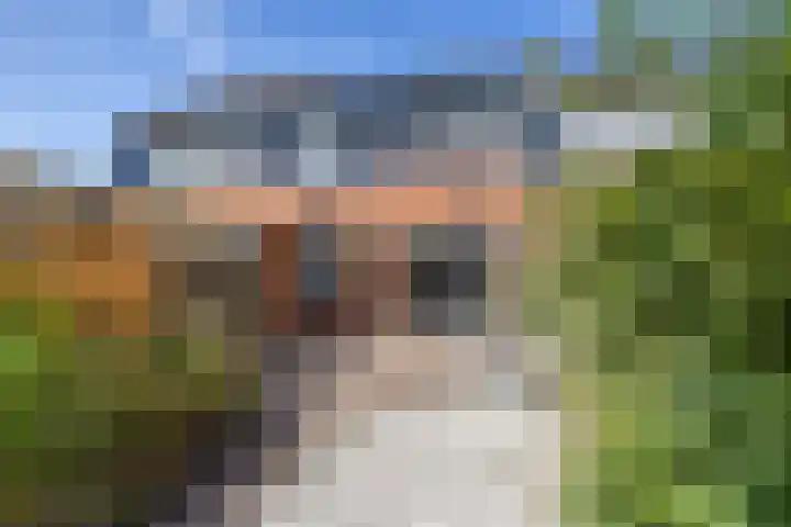 Hooiven 49 Delfzijl thumbnail 39