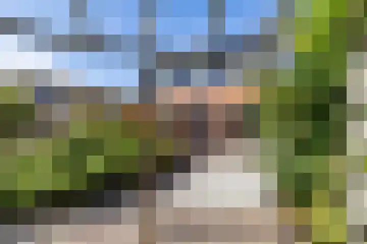 Hooiven 49 Delfzijl thumbnail 40