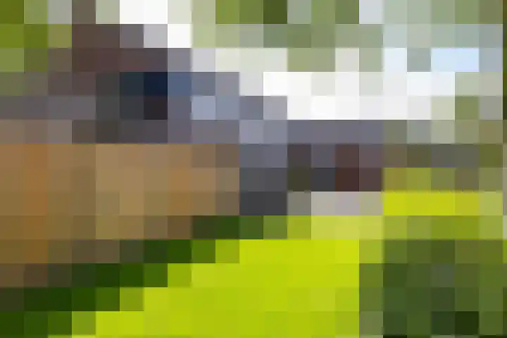 Hooiven 49 Delfzijl thumbnail 43
