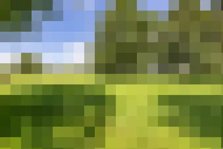 Hooiven 49 Delfzijl thumbnail 44