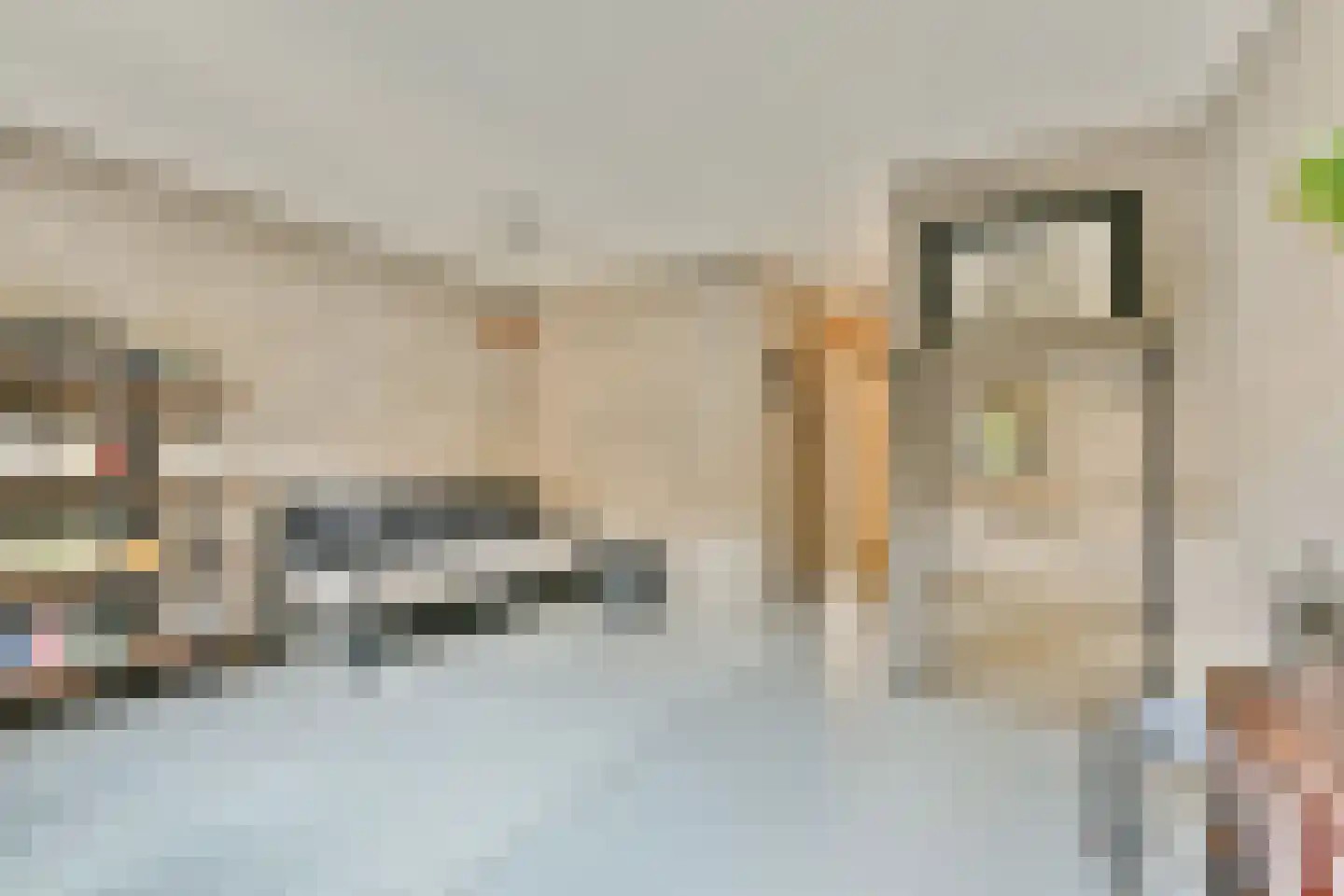 Hooivletstraat 78 Amsterdam thumbnail 12