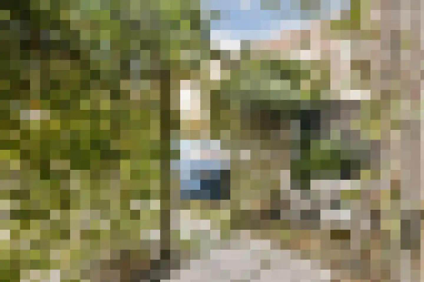 Hooivletstraat 78 Amsterdam thumbnail 13