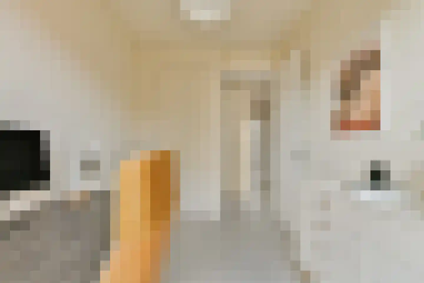 Hooivletstraat 78 Amsterdam thumbnail 18